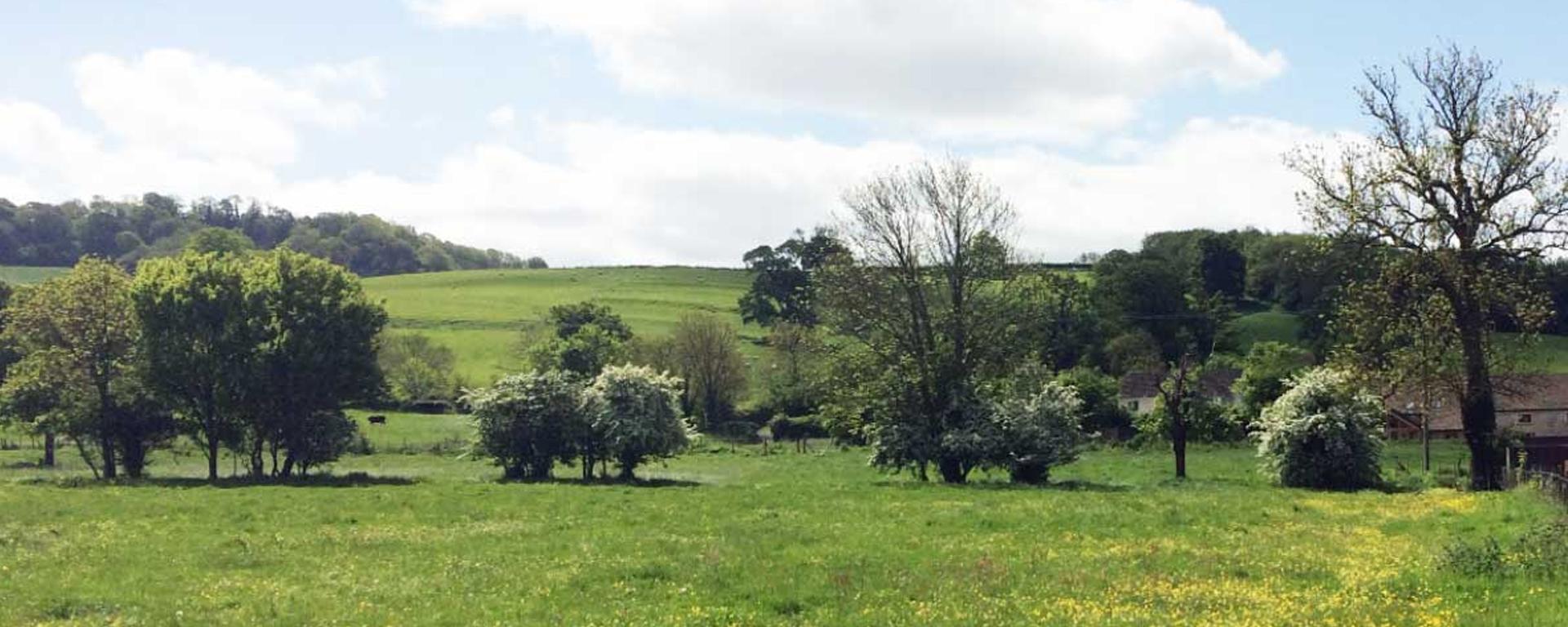 Merryfields